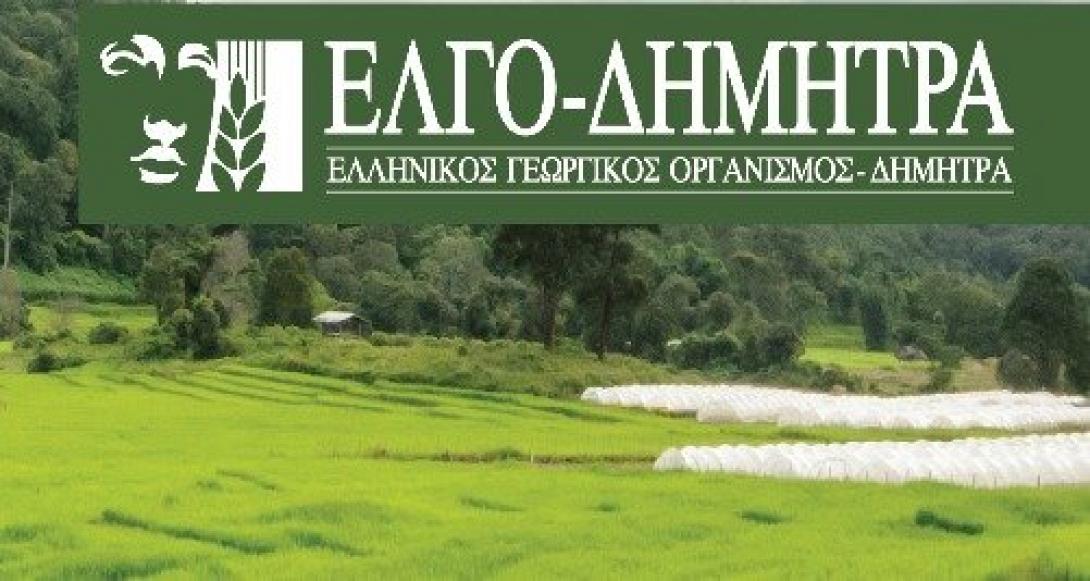 ΣΟΧ 2/2025:ΕΛ.Γ.Ο-ΔΗΜΗΤΡΑ